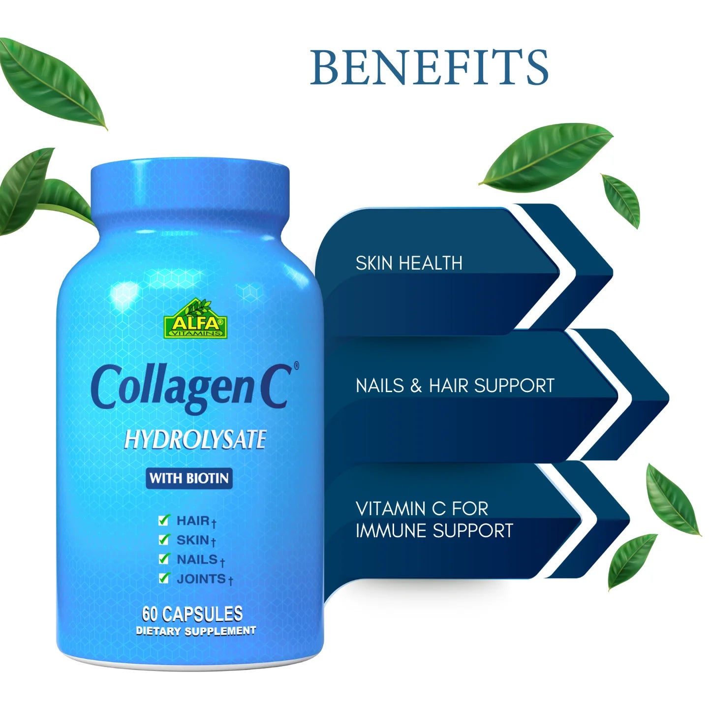 Collagen C