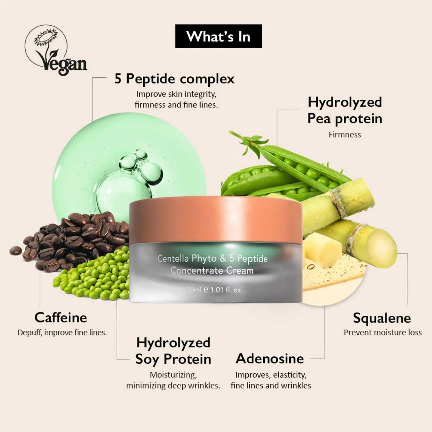 Haruharu Centella Phyto & 5 Peptide Concentrate Cream