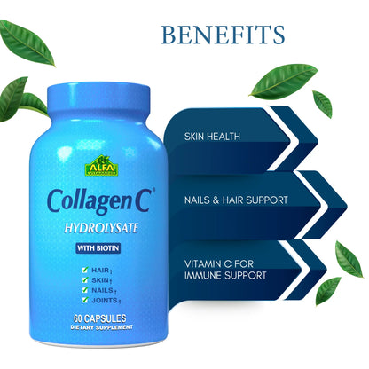 Collagen C